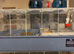 Hamster and cage
