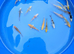 £5 koi £6 koi £10 koi £25 koi