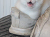 Kittens for sale ready now