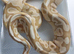 Pandora Royal Python