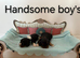 Health Tested Cavalier King Charles