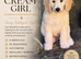 Standard poodle puppies kc registered