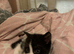 kittens ready to leave today