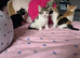 Kittens for sale.