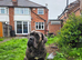 Presa Canario