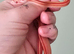 Stunning Corn Snake Hatchlings