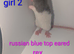 Beautiful rex rats