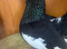 Very nice and very good quality garden pigeon for sale