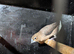 Silverbill