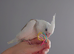 Hand reared silly tame DNA sexed baby cockatiels
