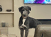 Bedlington whippet