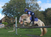 12hh first or second ridden pony