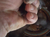 Micro ferret kits