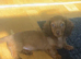 We have 2 stunning long hair pups