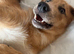 need rehomed asap