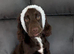 Male sprocker