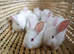 7 New Zealand White Rabbit Kits Available