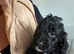 3 cockapoo pups left ready Thursday