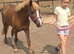 4yo 11.2hh registered mare