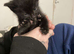 2 boy kittens