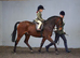 Dream pony in the making