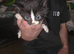 4 kittens