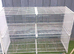 Wire +platic bird cages