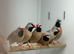 Grace finches
