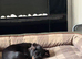 Female minature dachshund