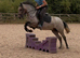 13hh pony club, happy hacker, whp
