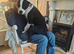2 American bulldog x staffys