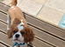 Hugo 3 years old