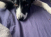 Nell