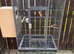 Tall cage with Breeding Box