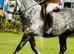 Maxi cob