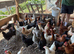 Farm For sale