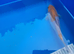 ochiba koi 20cm