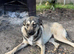 MEET NELL – AN EXCEPTIONALLY GENTLE GIRL DREAMING OF A FAMILY