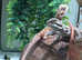 Baby bearded dragons