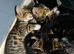 2 kittens