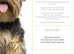Barker doggie day care and walking services
