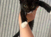 Ragamese cross kitten