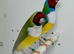 Red head Gouldian finches for sale