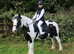 Lovely Lottie