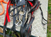 Cob size quick hitch harness