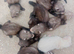 12 Baby Ferrets