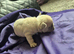 Only x1 boy left out of 6, KC registered micro French bulldogs