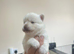 Pomsky Puppy's ready to leave for there forever home in to weeks