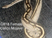 CB18 Female Calico Mojave