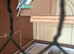 Lovely bonded pair &pound;80 in Dagenham